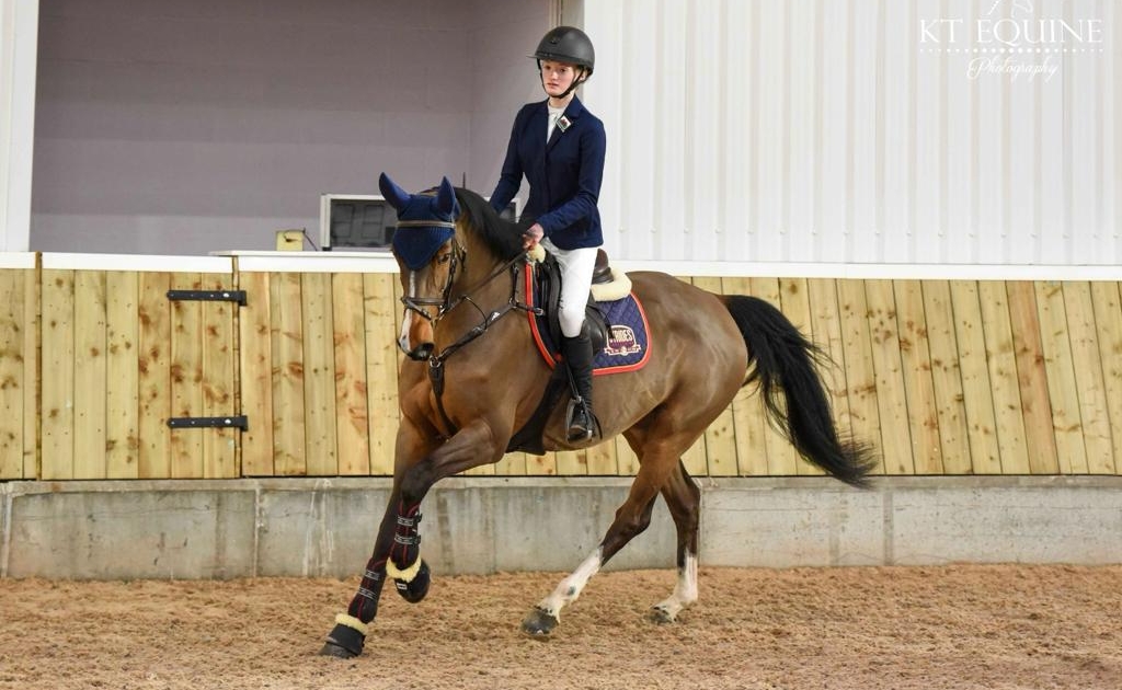 Strides Equestrian Training