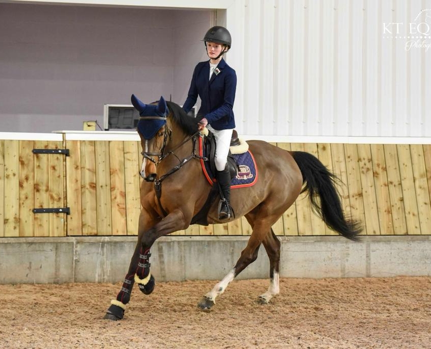 Strides Equestrian Training
