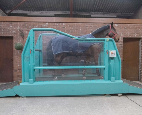 Strides Equestrian