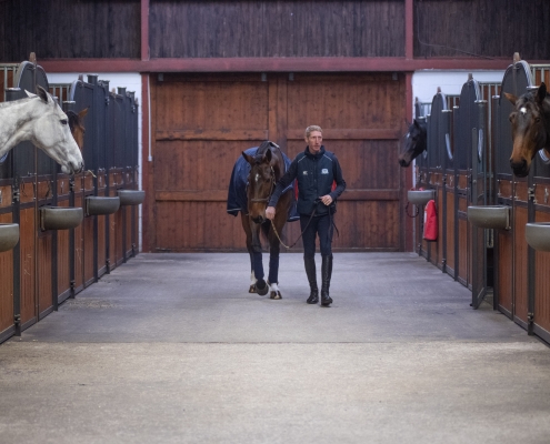 Strides Equestrian